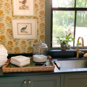 Cashiers Designer Showhouse with Elly Poston