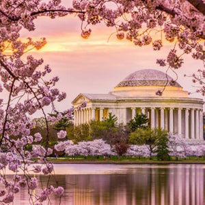 Weezie's DC City Guide