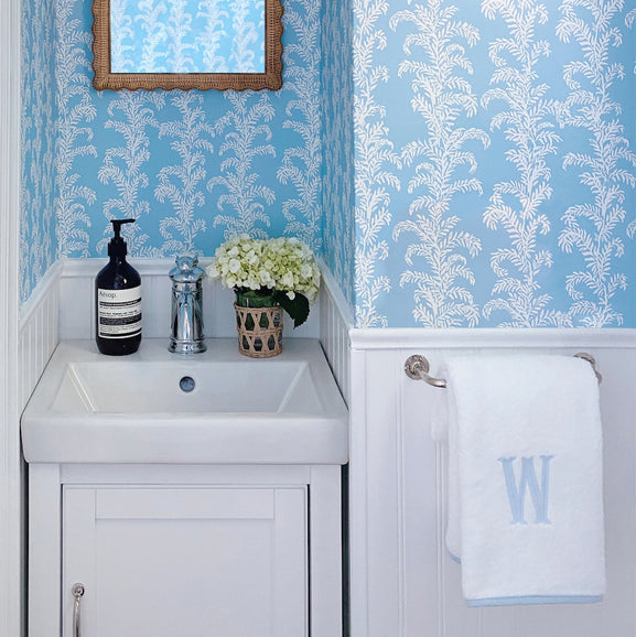 Bathroom Diaries: Abby Ward