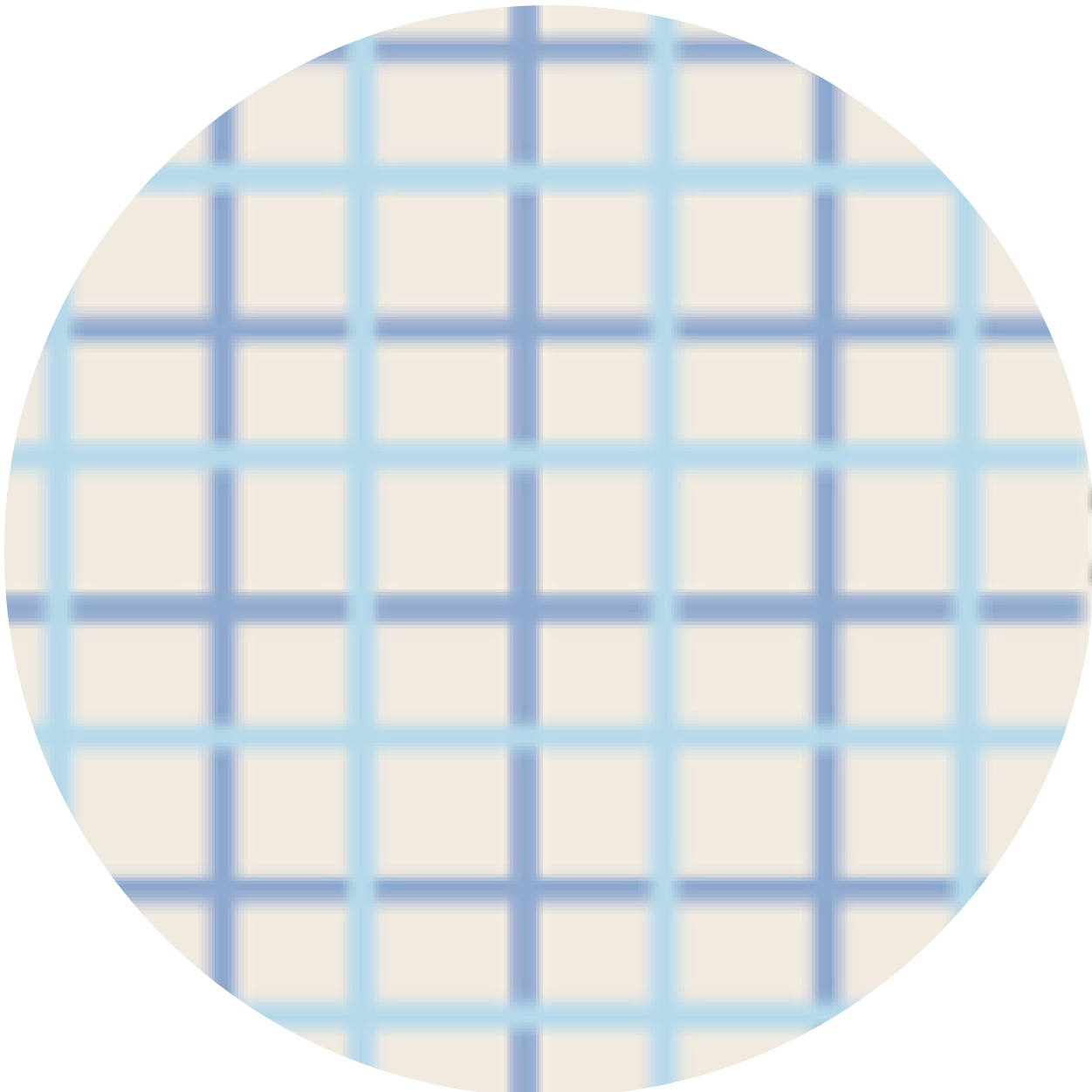 Blue Plaid color swatch