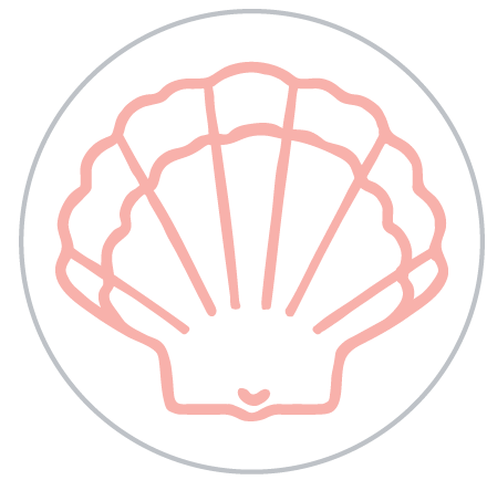 Coral Shell  color swatch