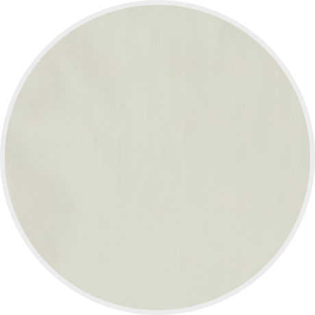 Ecru  color swatch
