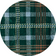 Green Dad Plaid  color swatch