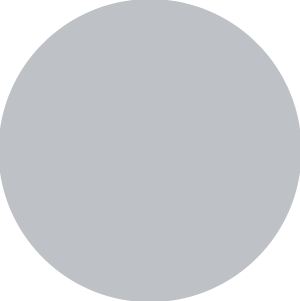 Grey  color swatch