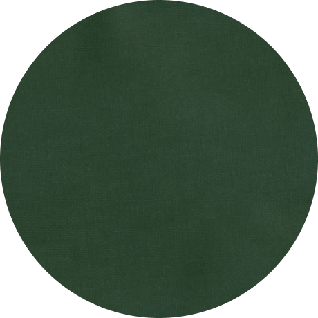 Hunter Green  color swatch