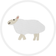Lamb on White  color swatch