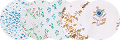 Multi-Color Printed